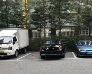 우리동네 빤쯔.... | 보배드림 자유게시판