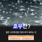 태풍 다나스 대비하세요 | 보배드림 자유게시판
