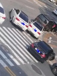 대전에서 찍었던 사진들 다시 한번 ^^ | 보배드림 직찍/특종발견