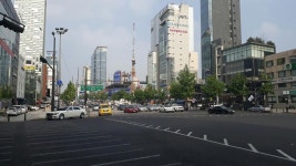도산대로의 흔한 풍경 | 보배드림 직찍/특종발견