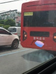 대전에 1대밖에 없는 | 보배드림 베스트글