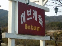 여기 좋나요? | 보배드림 직찍/특종발견
