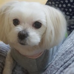 동성아파트 보거라 | 보배드림 수입차게시판