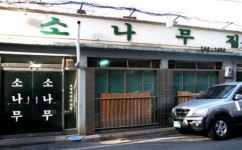 대전 소나무집 | 보배드림 수입차게시판
