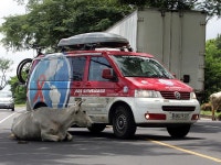 VolksWagen  상용부 allradantrieb  (4WD)  2 | 보배드림 수입차게시판