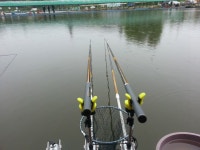 떡밥을 뭘로할까요?? | 보배드림 교통사고/사건/블박/블랙박스