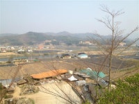 포르쉐 911 카레라S... 메밀의 고향! 봉평 현대막국수 | 보배드림 직찍/특종발견