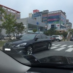 광주 | 보배드림 직찍/특종발견