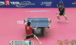 전국 온라인세상은 지금 탁구붐이 진행중! | 보배드림 자유게시판