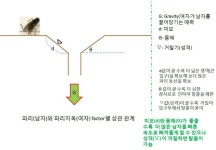 여자의 매력 요소 간단 정리 | 보배드림 자유게시판