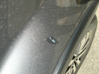 이 놈을 어떻게 할까요? | 보배드림 자유게시판