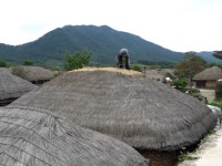 저희 동내로 놀러오세요^^ | 보배드림 자유게시판