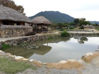 저희 동내로 놀러오세요^^ | 보배드림 자유게시판