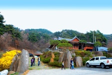 지난주 일요일 안면도 투어 다녀왔습니다. | 보배드림 자유게시판