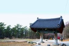 지난주 일요일 안면도 투어 다녀왔습니다. | 보배드림 자유게시판