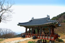 지난주 일요일 안면도 투어 다녀왔습니다. | 보배드림 자유게시판