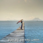 즐겁게 살라. 행복하려고 노력하라. | 보배드림 자유게시판