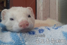 움짤 네임카드를 만들어보았습니다. | 보배드림 자유게시판