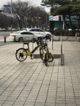 카카오 자전거 봤습니다. | 보배드림 국산차게시판