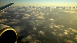 여수~제주공항 왕목 | 보배드림 베스트글