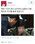 폐~~하~~~ | 보배드림 유머게시판