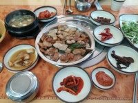 좃에피나 투어01. - 경북 봉화 | 보배드림 유머게시판