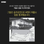 범인들은 파출소 앞을 14번 지나갔습니다 | 보배드림 유머게시판