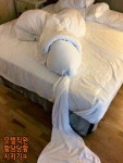모텔 직원 당황시키기 | 보배드림 유머게시판