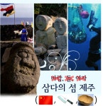 탐라 사람이 알려주는 제주도 근황 | 보배드림 유머게시판