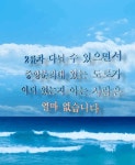 ● 중앙분리대 있는 도로를 아는 사람은 적습니다 | 보배드림 유머게시판