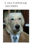 신기한 마술 | 보배드림 유머게시판