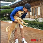 역시 개도 알아봅니다 | 보배드림 유머게시판