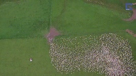 병목현상 | 보배드림 유머게시판