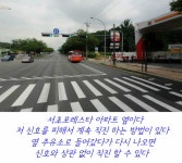신호 사진 5
