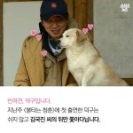 김국진이 덕구를 돌보는 이유 | 보배드림 유머게시판