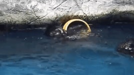 대중목욕탕 민폐 갑 | 보배드림 유머게시판