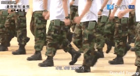 뇌 오작동 | 보배드림 유머게시판