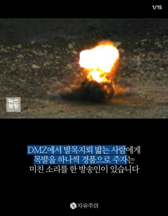 DMZ 발목 지뢰 망언 | 보배드림 유머게시판