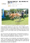 토종 진도개, 경찰견 도전 - 보배드림 유머게시판