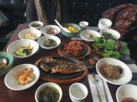 수심 8,178m에서 심해어 촬영 | 보배드림 유머게시판