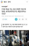 공포 조장인가? 전쟁기원 굿판인가? | 보배드림 유머게시판