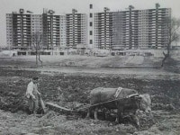 압구정 람보르기니. | 보배드림 유머게시판