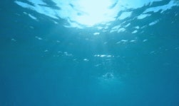 러시아 누나가 말하는 한국남자 | 보배드림 유머게시판