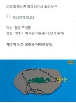 그날 , 도착할수 없었던 제주 여행 | 보배드림 유머게시판