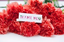 오늘같은날은 카네이션보다는 | 보배드림 유머게시판