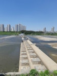 1년만에 살아나는 금강 세종보 | 보배드림 유머게시판