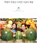 고오급 과일 | 보배드림 유머게시판