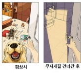 반려동물이 곁에 있을때, 없을때... | 보배드림 유머게시판