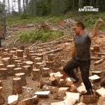 일당 50만원....나무꾼...gif | 보배드림 유머게시판