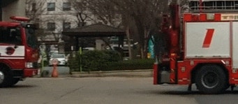 119 긴급출동.. | 보배드림 유머게시판